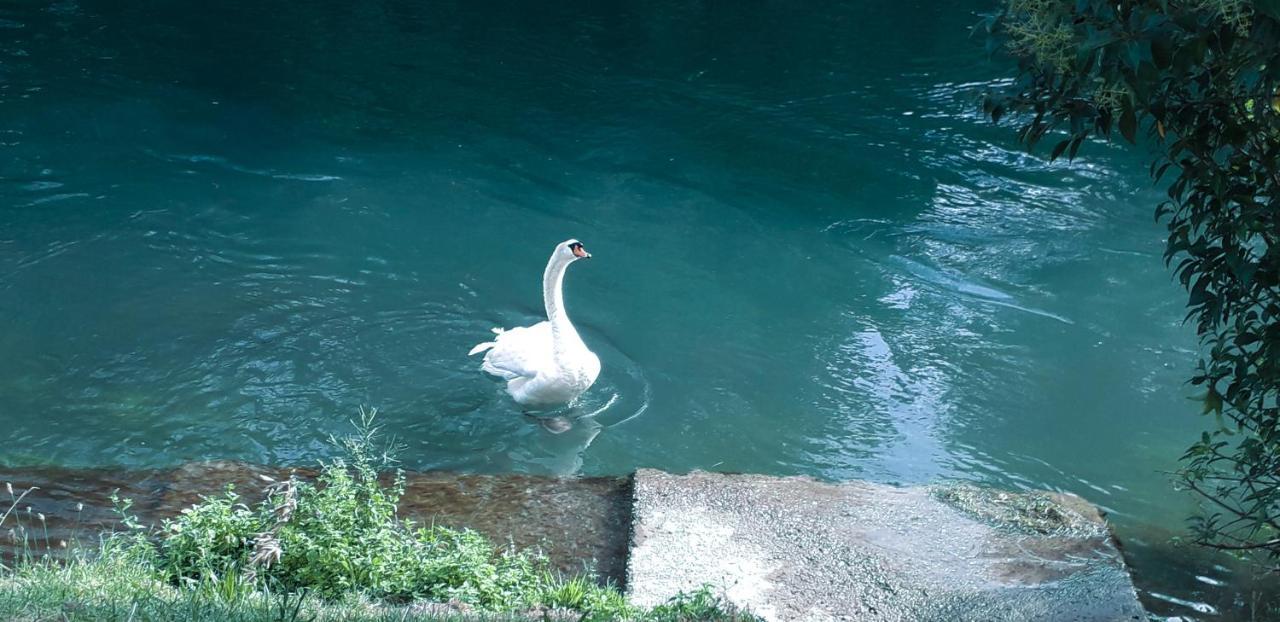 Ampio Appartamento Vicino Al Centro Di Treviso, Parcheggio Gratuito Exteriör bild