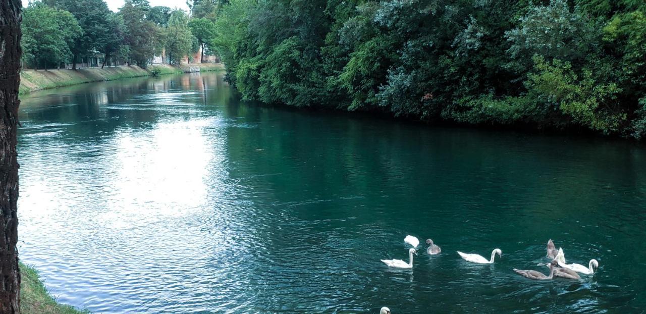 Ampio Appartamento Vicino Al Centro Di Treviso, Parcheggio Gratuito Exteriör bild